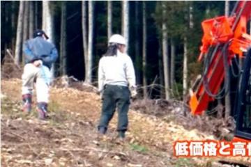 大型杭打ち機