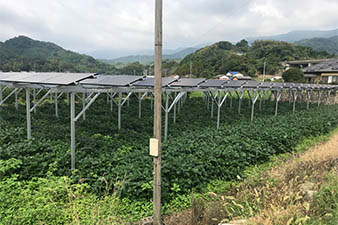 佐賀県Ｍ町ソーラーシェアリング架台73kw